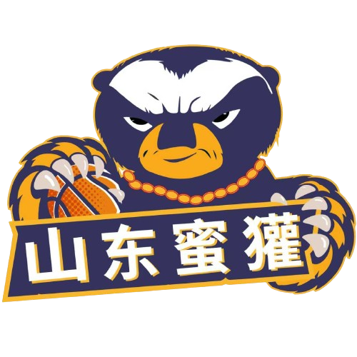 西雅图海湾人